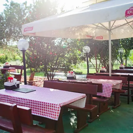 Apartamento With A Parking Space - Cuskijas, Novigrad - 17619 Pridraga