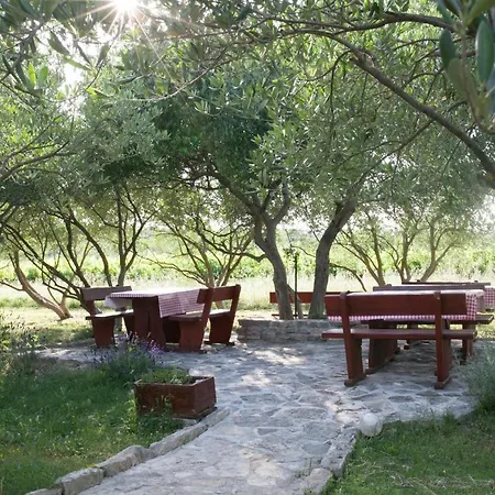 Appartement With A Parking Space - Cuskijas, Novigrad - 17619 *